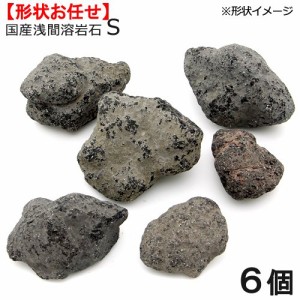 形状お任せ　浅間溶岩石　Ｓサイズ（約８〜１３ｃｍ）　６個　アクアリウム　レイアウト素材