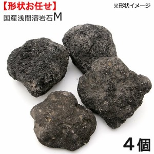 形状お任せ　浅間溶岩石　Ｍサイズ（約１３〜１８ｃｍ）　４個　アクアリウム　レイアウト素材