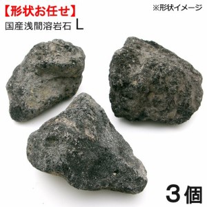 形状お任せ　浅間溶岩石　Ｌサイズ（約１８〜２３ｃｍ）　３個　アクアリウム　レイアウト素材　お一人様３点限り