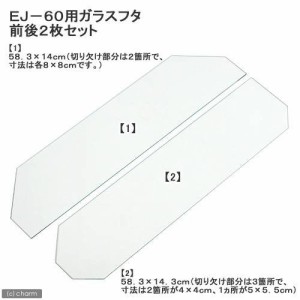 エーハイム　ガラスフタ　ＥＪ−６０用　前後２枚セット（幅５８．３×縦１４．３×厚さ０．３ｃｍ、幅５８．３×縦１４×厚さ０．３ｃｍ