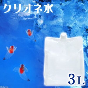 （海水魚）足し水くん　天然海水「クリオネ水」（海洋深層水）　３リットル　クリオネ飼育　航空便不可　沖縄不可