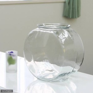 金魚鉢　おしゃれなガラス製金魚鉢　太鼓鉢　大（７．６リットル）　水槽