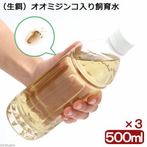 （生餌）オオミジンコ入り飼育水（５００ｍｌ）　３本セット　活餌