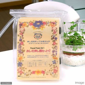 押し花押し器セットＣ