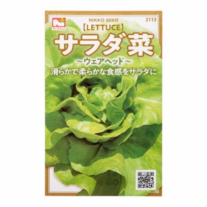 野菜の種　サラダ菜　品番：２１１３　家庭菜園