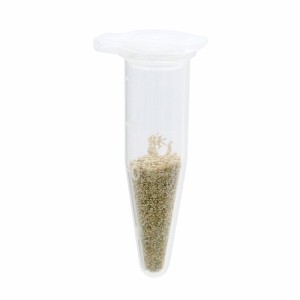 （生餌）乾燥タマミジンコ休眠卵（１ｍｌ）約４万個　活餌