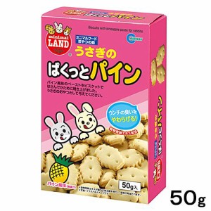 マルカン　うさぎのぱくっとパイン　５０ｇ　うさぎ　おやつ (ハムスター 餌)