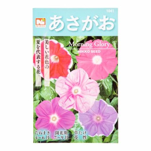 緑のカーテン　あさがお（ＭＯＲＮＩＮＧ　ＧＬＯＲＹ）　品番：１０４１　日光種苗　家庭菜園