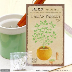 ハーブ　ＨＥＲＢ　（イタリアンパセリ）　品番：８２８　家庭菜園