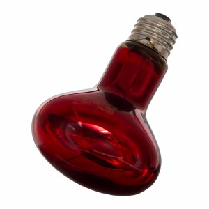ＺＯＯＭＥＤ　赤外線保温電球　インフラレッドヒートランプ　１００Ｗ　爬虫類　保温球