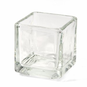 ニューブロックグラス　Ｓ　エアプランツ　多肉植物　ティランジア　ガラス