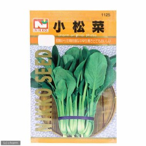 野菜の種　小松菜　品番：１１２５　家庭菜園