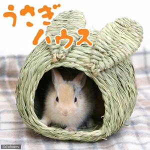 川井　うさぎハウス　Ｓ (小動物 鳥かご)