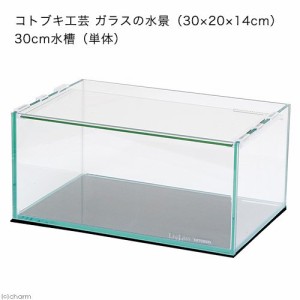 コトブキ工芸　ガラスの水景（３０×２０×１４ｃｍ）　３０ｃｍ水槽（単体）　お一人様２点限り