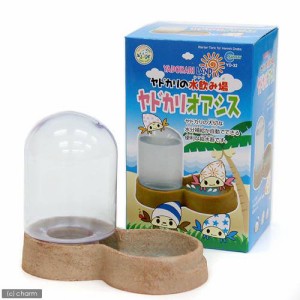 マルカン　ヤドカリオアシス　オカヤドカリ　水飲み器