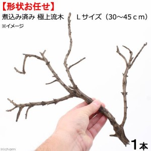 形状お任せ　煮込み済み　極上流木　Ｌサイズ（約３０〜４５ｃｍ）　１本　アクアリウム　テラリウム　レイアウト素材