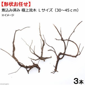 形状お任せ　煮込み済み　極上流木　Ｌサイズ（約３０〜４５ｃｍ）　３本　アクアリウム　テラリウム　レイアウト素材