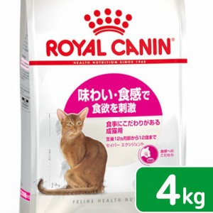 ロイヤルカナン 猫用 キャットフード　猫　セイバーエクシジェント　成猫用　４ｋｇ　３１８２５５０７１７１４４　お一人様５点限り　ジ