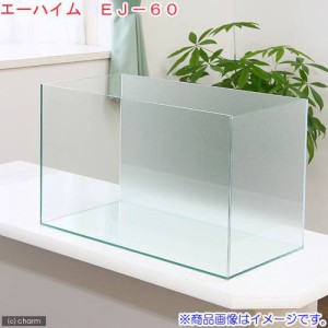 バックスクリーン貼付済　エーハイム　ＥＪ−６０　６０ｃｍ水槽　サンド（６０×３０×３６ｃｍ）（単体）　お一人様１点限り