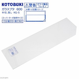 コトブキ工芸　ガラスブタ６００　半切、落し　ＫＧ−５　スーパーターボ使用サイズ（幅５１．３×奥行１６．２ｃｍ、厚さ３ｍｍ）