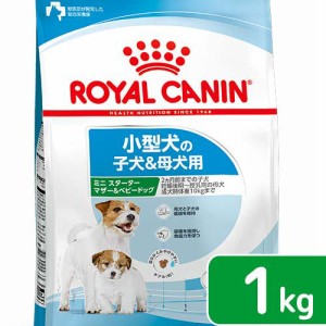 ロイヤルカナン 犬用 ドッグフード　ミニ　スターター　マザー＆ベビードッグ　小型犬　母犬・子犬用　１ｋｇ　３１８２５５０７７８６５