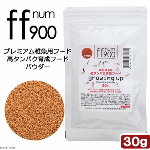 ｆｆ　ｎｕｍ９００　プレミアム稚魚用フード　高タンパク育成フード　パウダー　３０ｇ　メダカ　稚魚