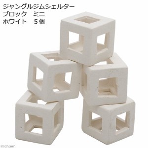 ジャングルジムシェルター　ブロック　ミニ　ホワイト　５個　陶器製