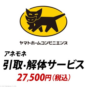 YHC 引取り 解体サービス アネモネ ：+27,500円 税込 ※引取り・解体サービスは対象商品と同時購入の場合にのみお申込みいただけます Z-H