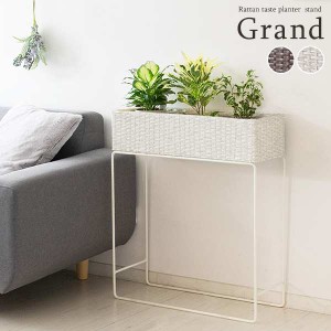 ラタン プランター スタンド Grand グラン 玄関先 インテリア 観葉植物 台 新生活 引越し 家具 ※北海道・沖縄・離島は別途追加送料見積