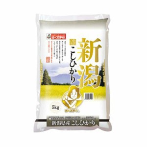 新潟県産 コシヒカリ 5kg 白米 お米 精米 米 銘柄米 美味しい おこめ こめ もっちり ごはん おにぎり 独特の粘りとコシの強さが特徴です 