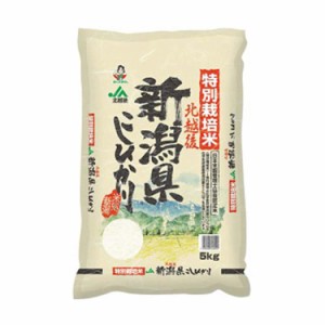 新潟 JA北越後産 特別栽培米コシヒカリ 5kg 白米 お米 精米 米 銘柄米 美味しい おこめ こめ もっちり ごはん おにぎり 独特の粘りとコシ