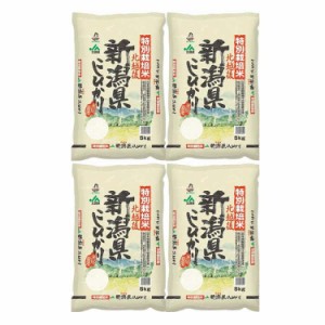 新潟 JA北越後産 特別栽培米コシヒカリ 5kgx4 白米 お米 精米 米 銘柄米 美味しい おこめ こめ もっちり ごはん おにぎり 独特の粘りとコ