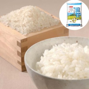 滋賀県産 こしひかり 米 10kg 白米 お米 精米 米 銘柄米 美味しい おこめ こめ もっちり ごはん おにぎり お歳暮 お中元 お土産 ご進物 