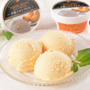 北海道 夕張メロンアイス(17個) アイスクリーム メロンの最高級ブランドである夕張メロンのピューレを贅沢に使用し、生乳も北海道十勝産