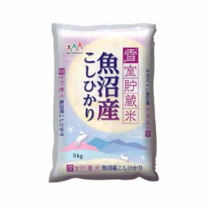 新潟 魚沼産コシヒカリ 雪室貯蔵米 5kg 白米 お米 精米 米 銘柄米 美味しい おこめ こめ もっちり ごはん おにぎり 独特の粘りとコシの強