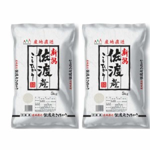 新潟 佐渡産コシヒカリ 5kgx2 白米 お米 精米 米 銘柄米 美味しい おこめ こめ もっちり ごはん おにぎり 独特の粘りとコシの強さが特徴