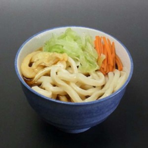 山梨 創業明治35年「平井屋」 吉田のうどん (2人前)x5 太くて強い（こわい）麺は、かめばかむほど味が出る、そんなクセになる吉田のうど