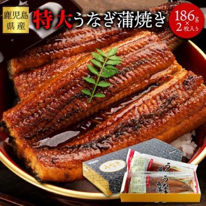 国産 特大 うなぎ 蒲焼き 186g×2袋 日本ギフト大賞鹿児島県賞受賞 販売元より直送 NK00000120