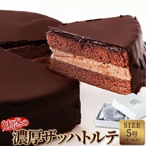 冷凍 魅惑の ザッハトルテ 5号 チョコレート ケーキ 販売元より直送 SM00010095