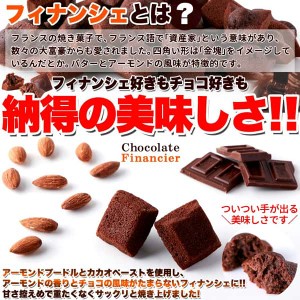 プチ チョコ フィナンシェ 50個 アーモンドとチョコの風味がたまらない 販売元より直送 SM00010410