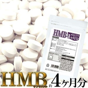 【ネコポス出荷】HMBサプリメント どっさり 約4ヶ月分 メガ盛り 販売元より直送 SM00010519