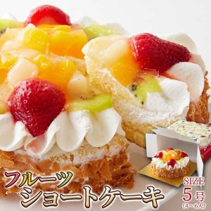 冷凍 フルーツ ショート ケーキ 5号 色とりどりのフルーツをたっぷりトッピング 販売元より直送 SM00010771