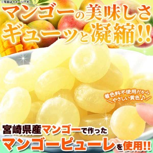 【大容量】宮崎 マンゴー キャンディ 250g 宮崎県産マンゴーで作ったマンゴーピューレ使用 マンゴーの美味しさをギューッと凝縮 トロピカ