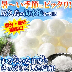 【大容量】屋久島 塩飴 250g 塩が甘さを引き立てる！屋久島の海水塩を使用 暑?い季節にピッタリ まろやかな甘さでさっぱりとした塩飴 販