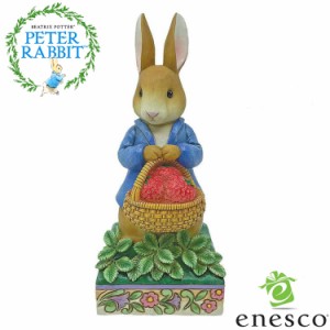 enesco(エネスコ)【JIM SHORE】ピーターラビット ウィズ バスケット Peter Rabbit フィギュア コレクション 人気 ブランド ギフト クリス