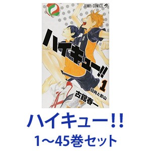 ハイキュー!! 全巻(1〜45巻)セット おまけファイル付きの+