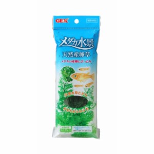 GEX メダカ水景天然産卵草 （水槽用アクセサリー）