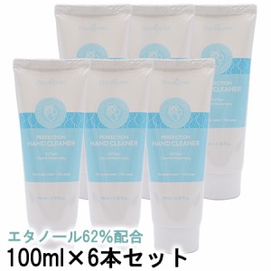 フレッシュゾーン アルコールハンドジェルパーフェクションハンドクリーナー 100ml×6本