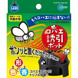 マルカン コバエ誘引ポット （コバエ侵入防止用品）