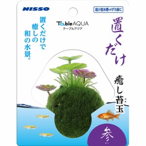 ニッソー テーブルアクア 置くだけ癒し苔玉 参 （サン） （水槽用アクセサリー）